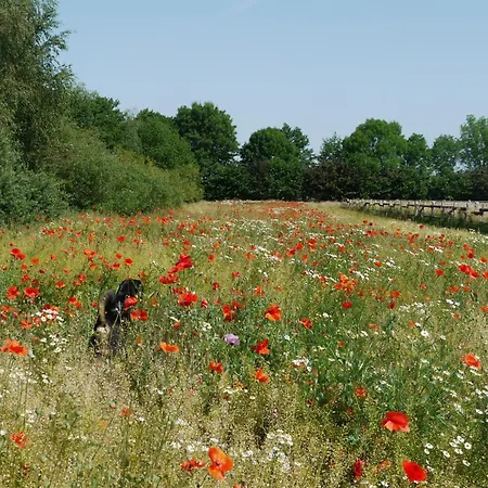 Dom wakacyjny Historisches Haus Uhlenhorst Trebel