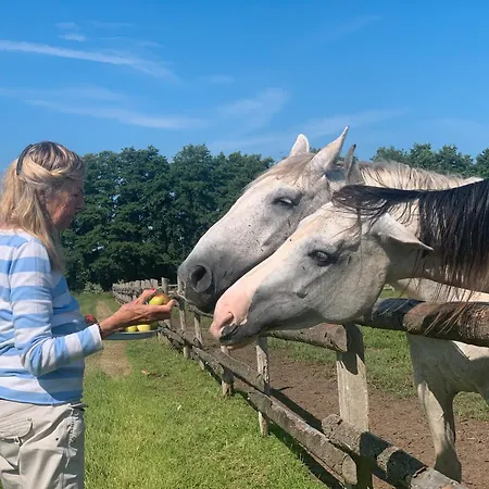 Dom wakacyjny Historisches Haus Uhlenhorst