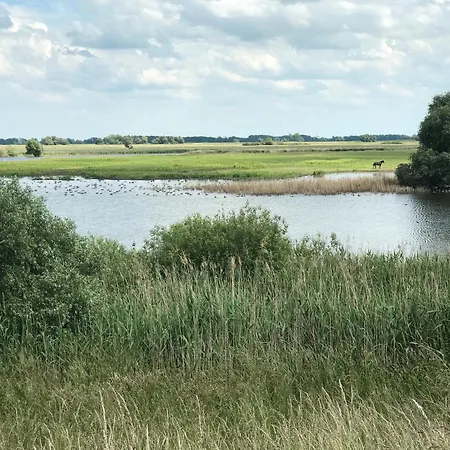 Dom wakacyjny Historisches Haus Uhlenhorst Trebel