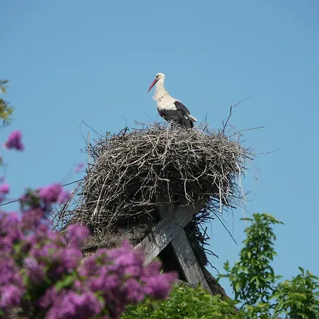 Historisches Haus Uhlenhorst Dom wakacyjny