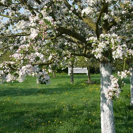 Historisches Haus Uhlenhorst Dom wakacyjny