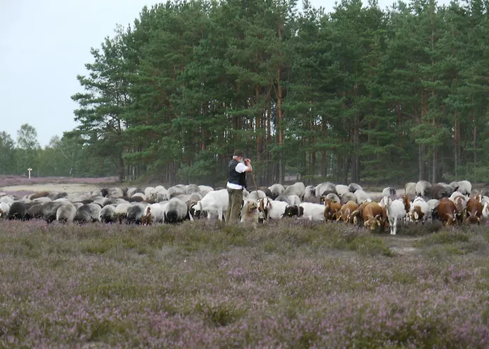Historisches Haus Uhlenhorst * Trebel