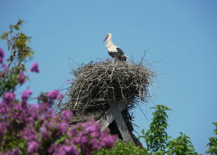 Historisches Haus Uhlenhorst Semesterbostad